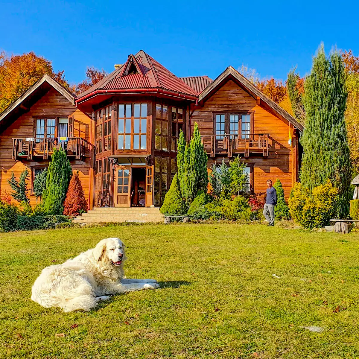 Садиба «Золота модрина»