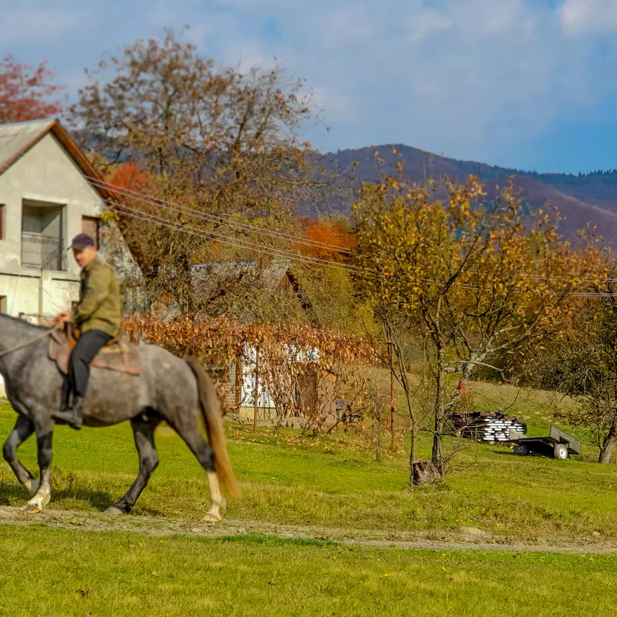 Садиба «Золота модрина»