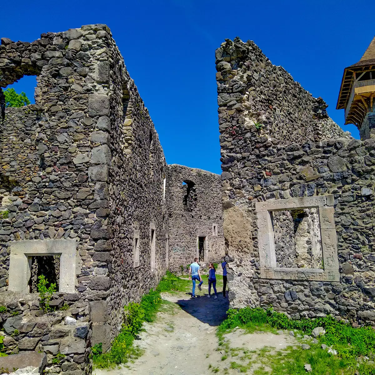 Невицький замок