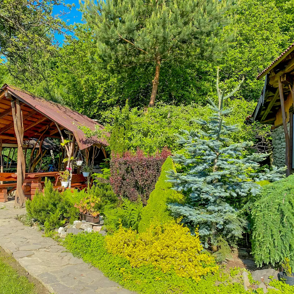 Садиба «Золота модрина»