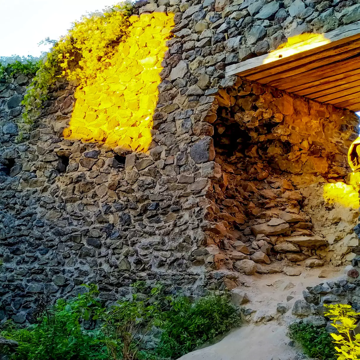 Невицький замок