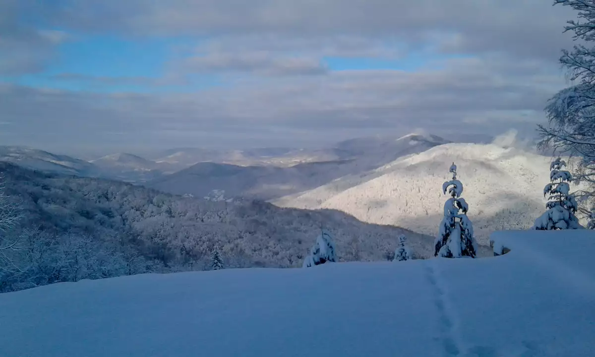 Частная усадьба «Лищина»