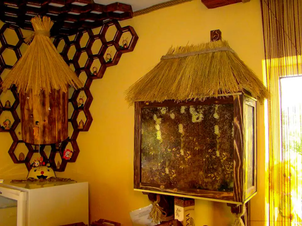 Дегустаційний зал «Медовий дім»