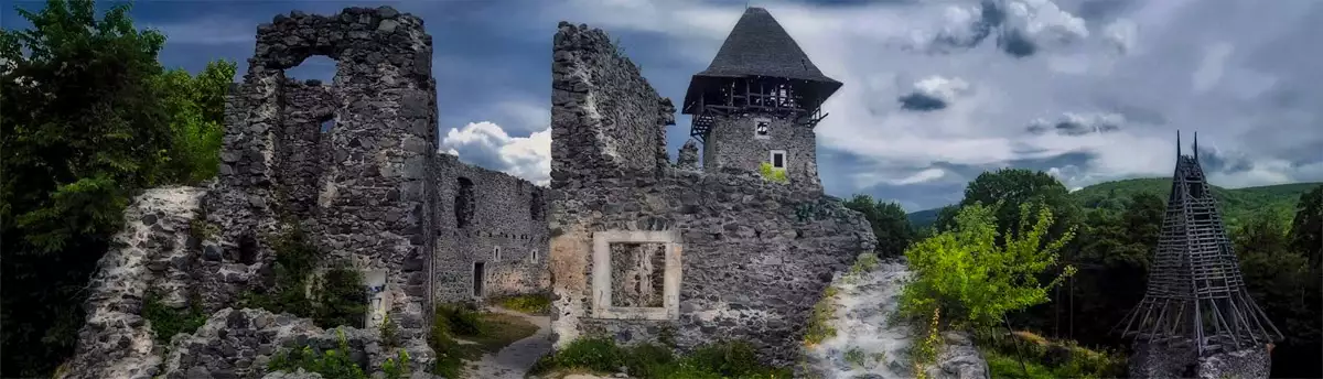 Невицький замок