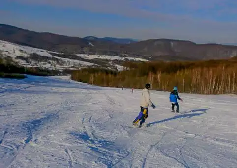 Новоселиця