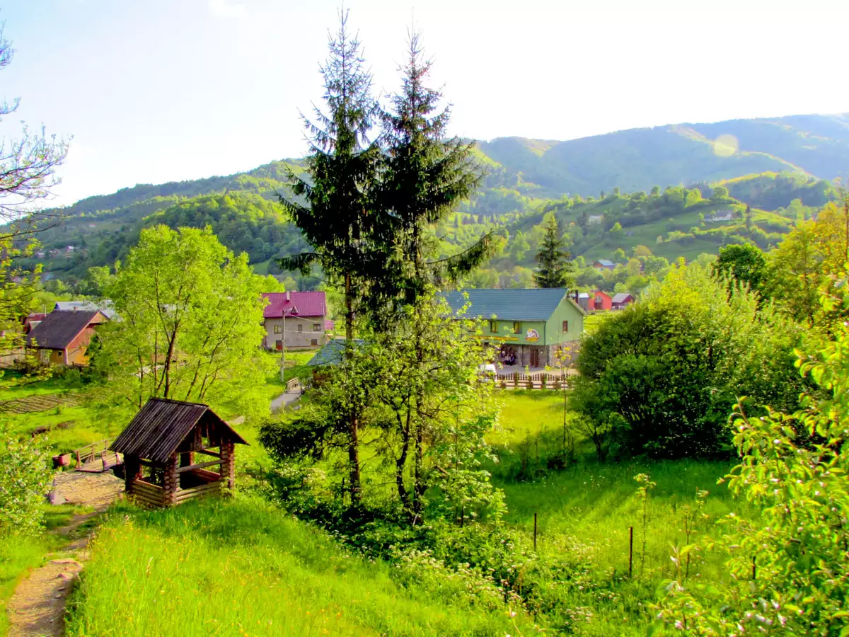 Pizzeria “Hutsul pizza with Gazdiv beer”