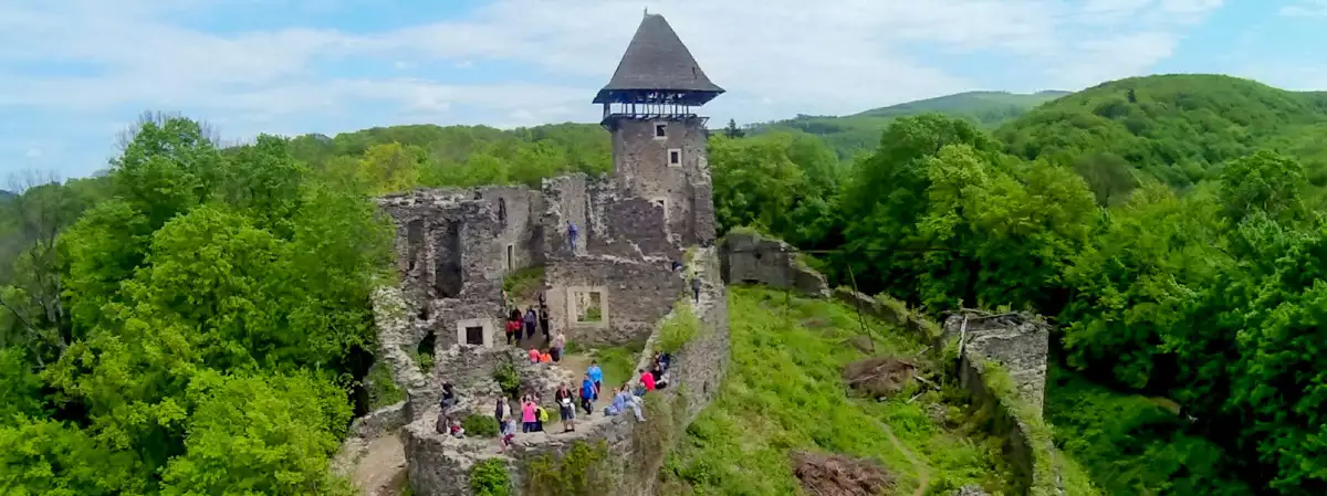 Невицький замок