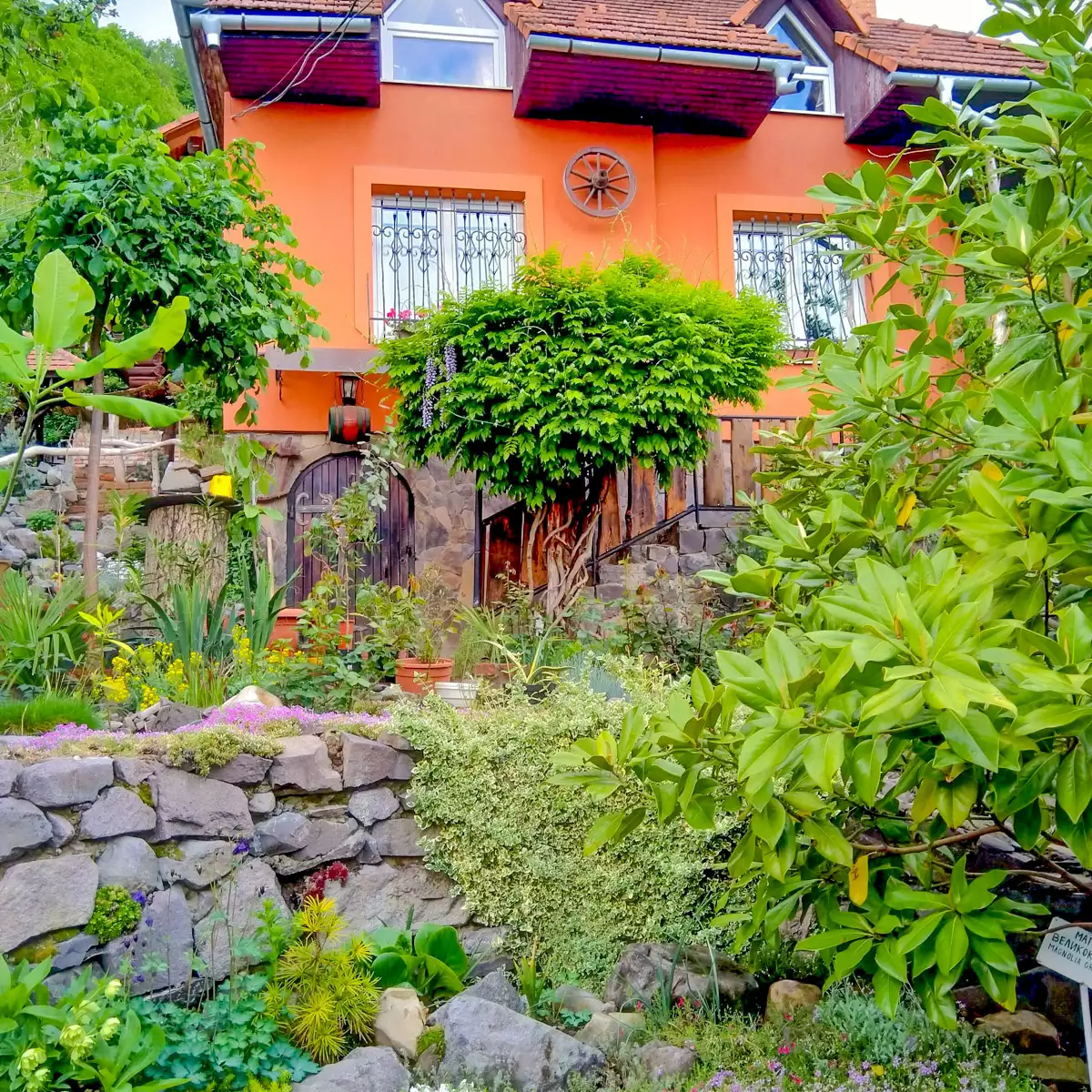 Винний погріб «Кельтський двір»