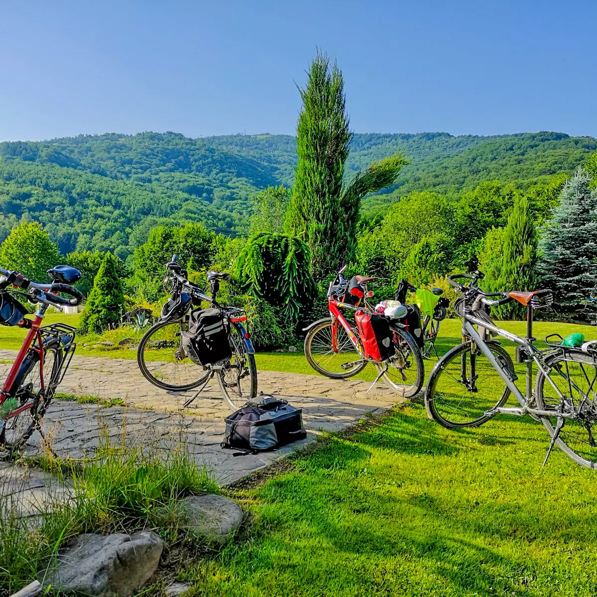 Садиба «Золота модрина»