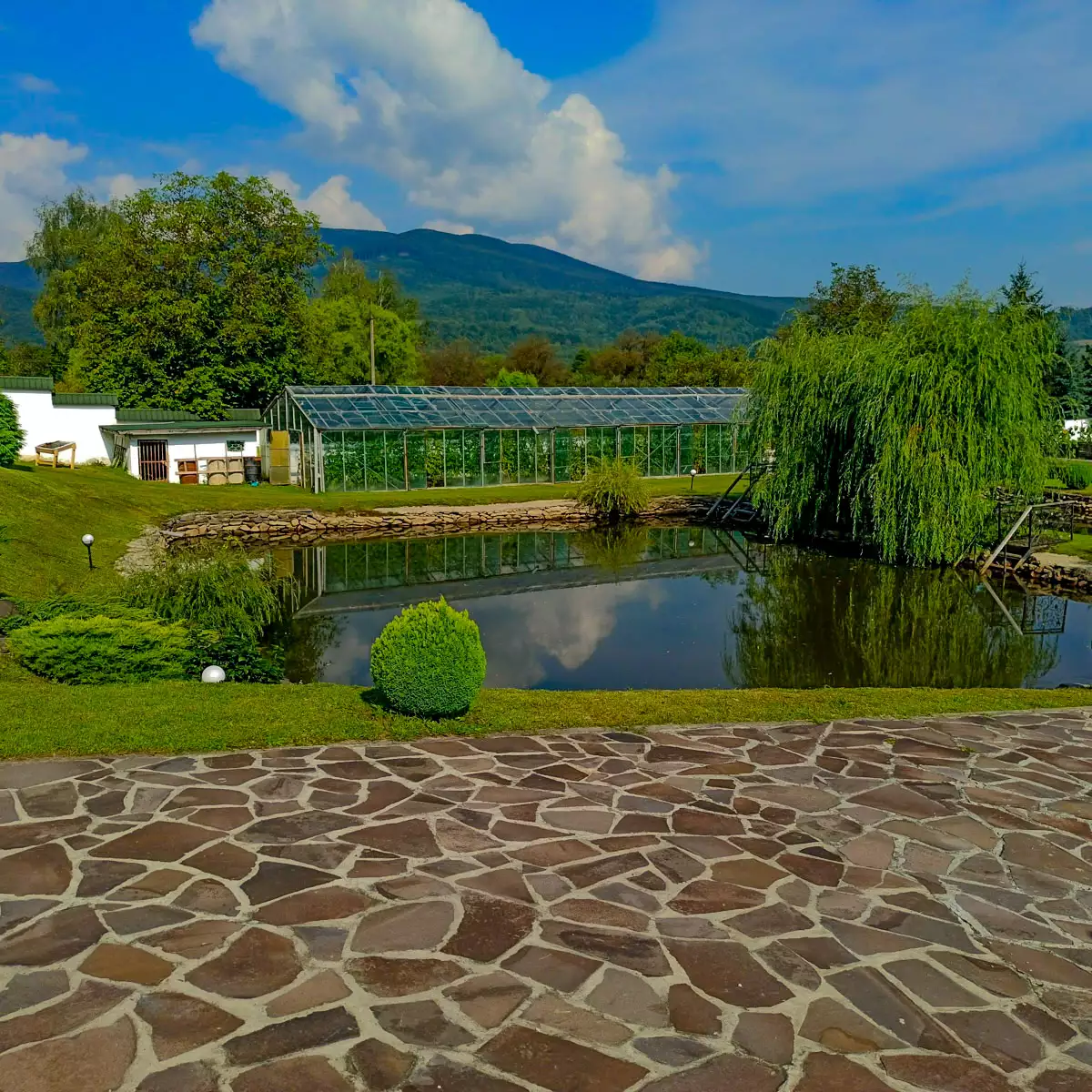 Кирило-Мефодіївський жіночий монастир