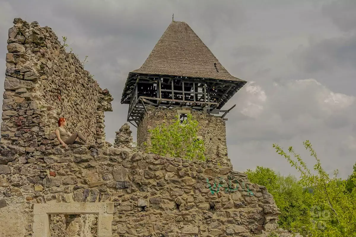 Невицький замок