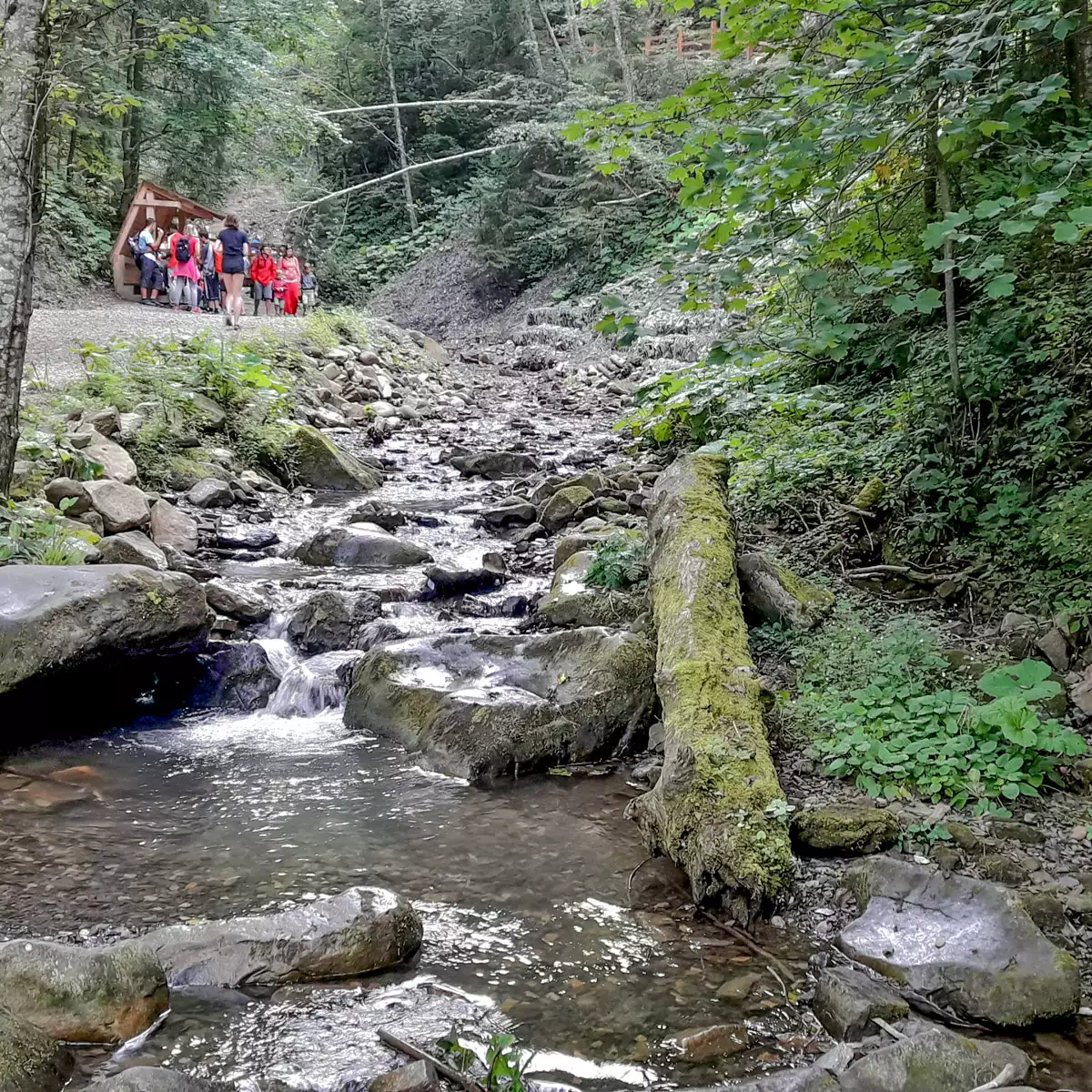 Водоспад Труфанець