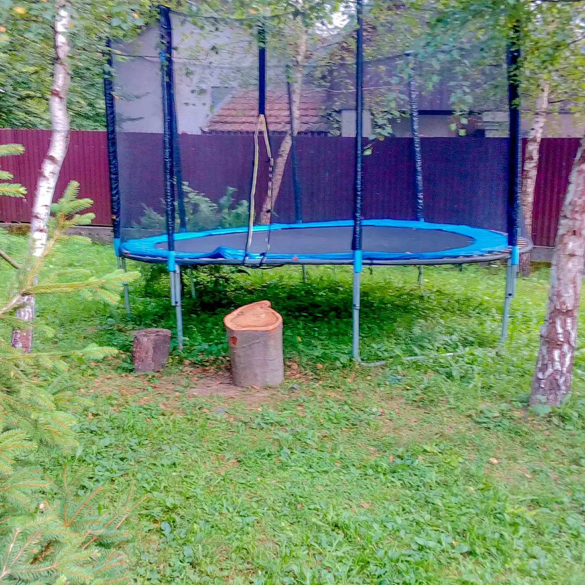 Kоттедж «Лесной домик»