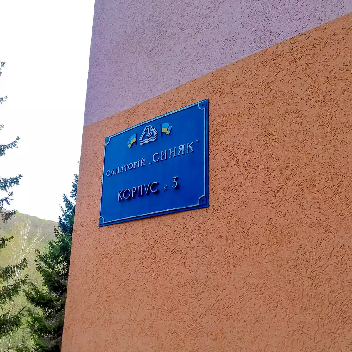 Санаторій «Синяк»