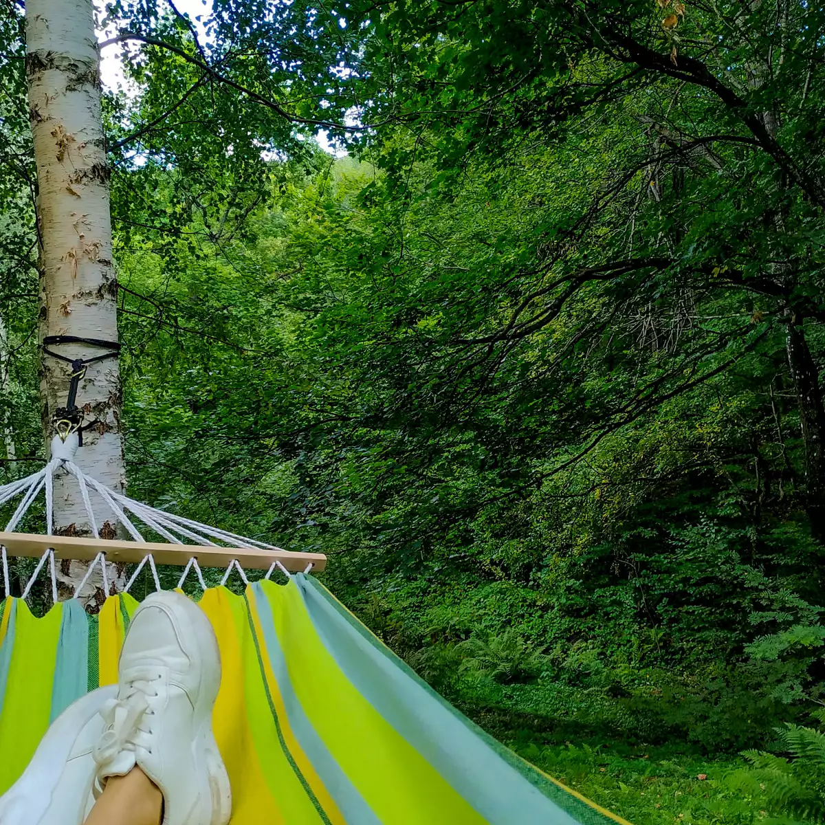 Усадьба «Источник под лесом»