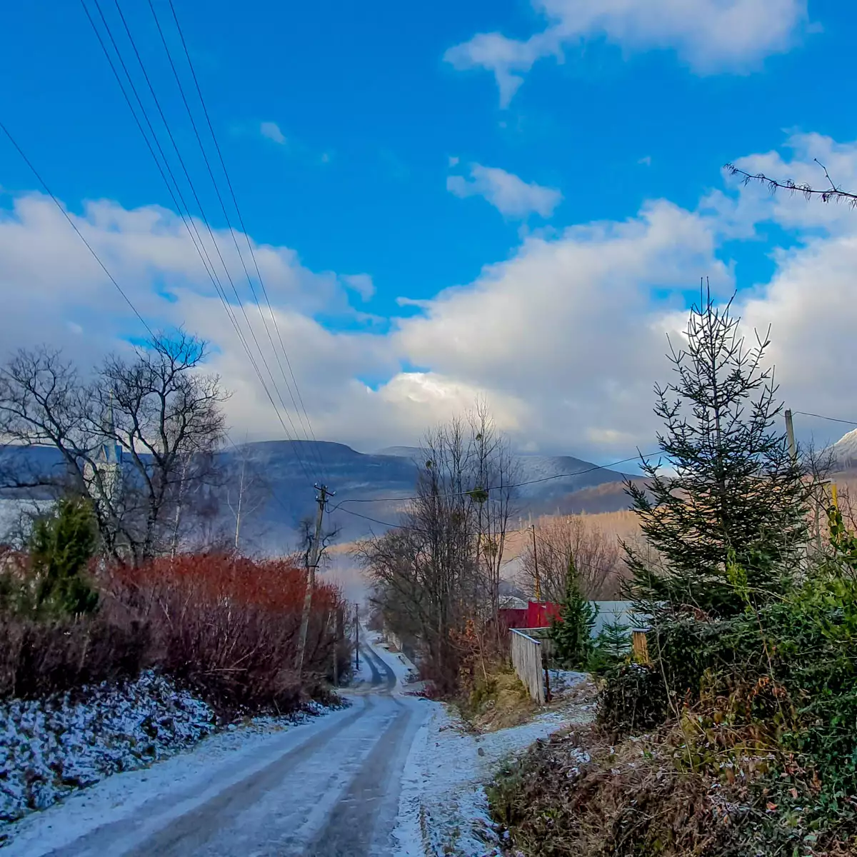 Kоттедж «Лесной домик»