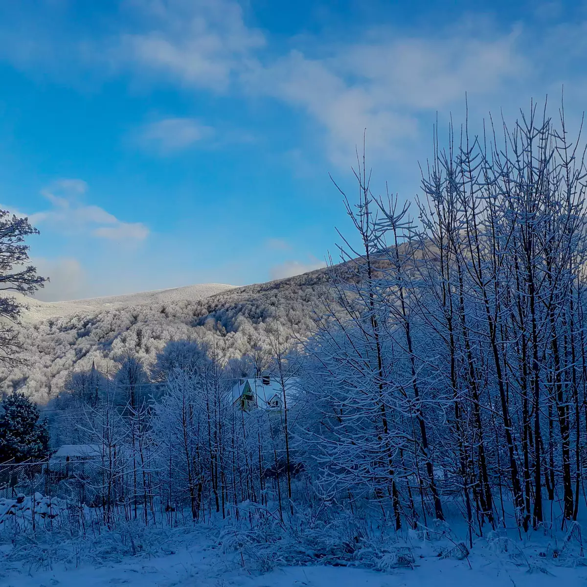 Усадьба «Источник под лесом»