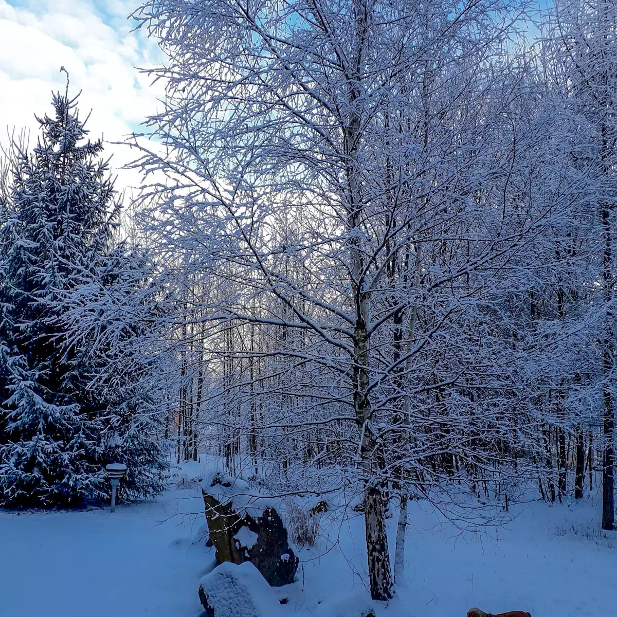 Усадьба «Источник под лесом»