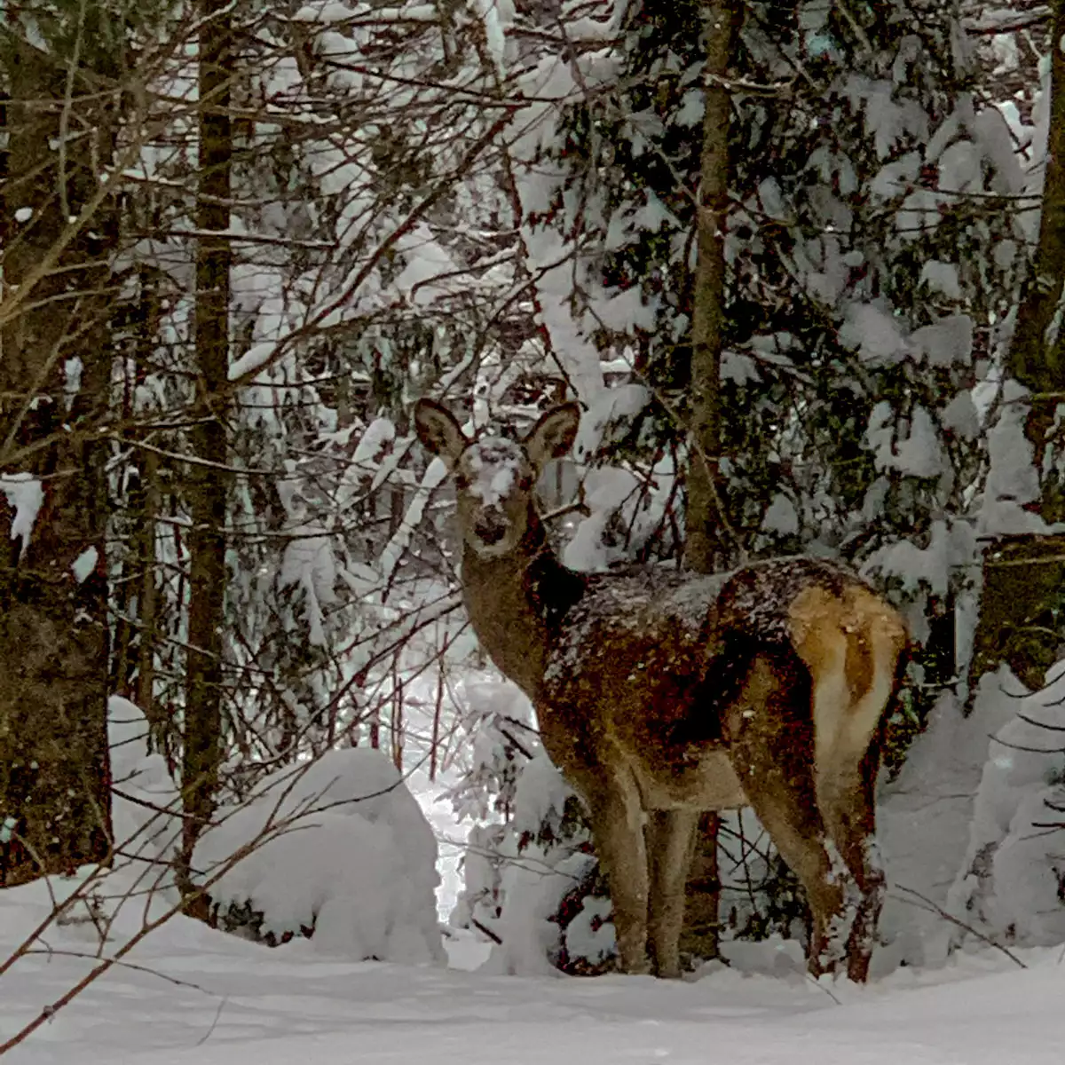 Отель «Горизонт»