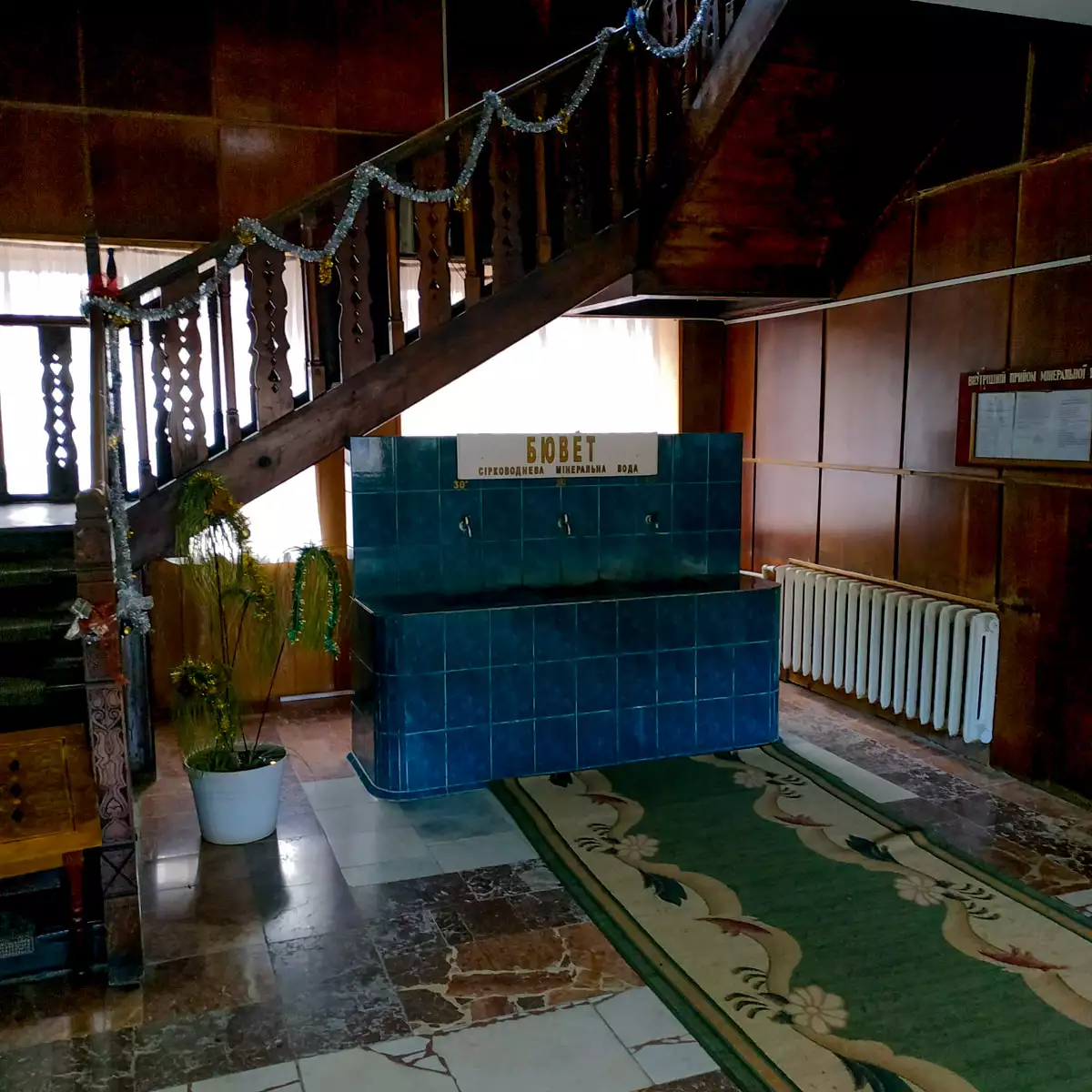 Санаторій «Синяк»