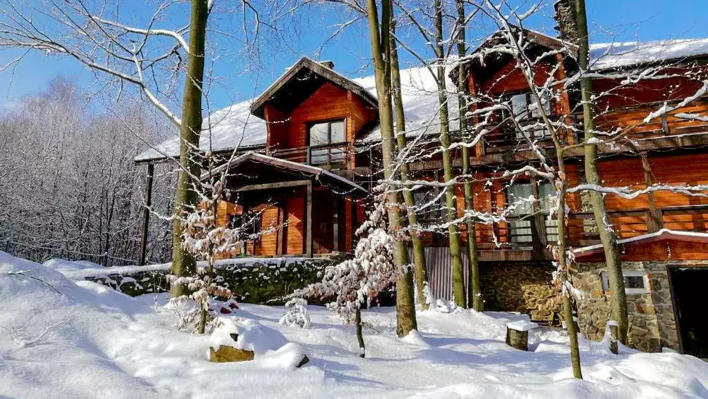 Отель «Поляна птиц»