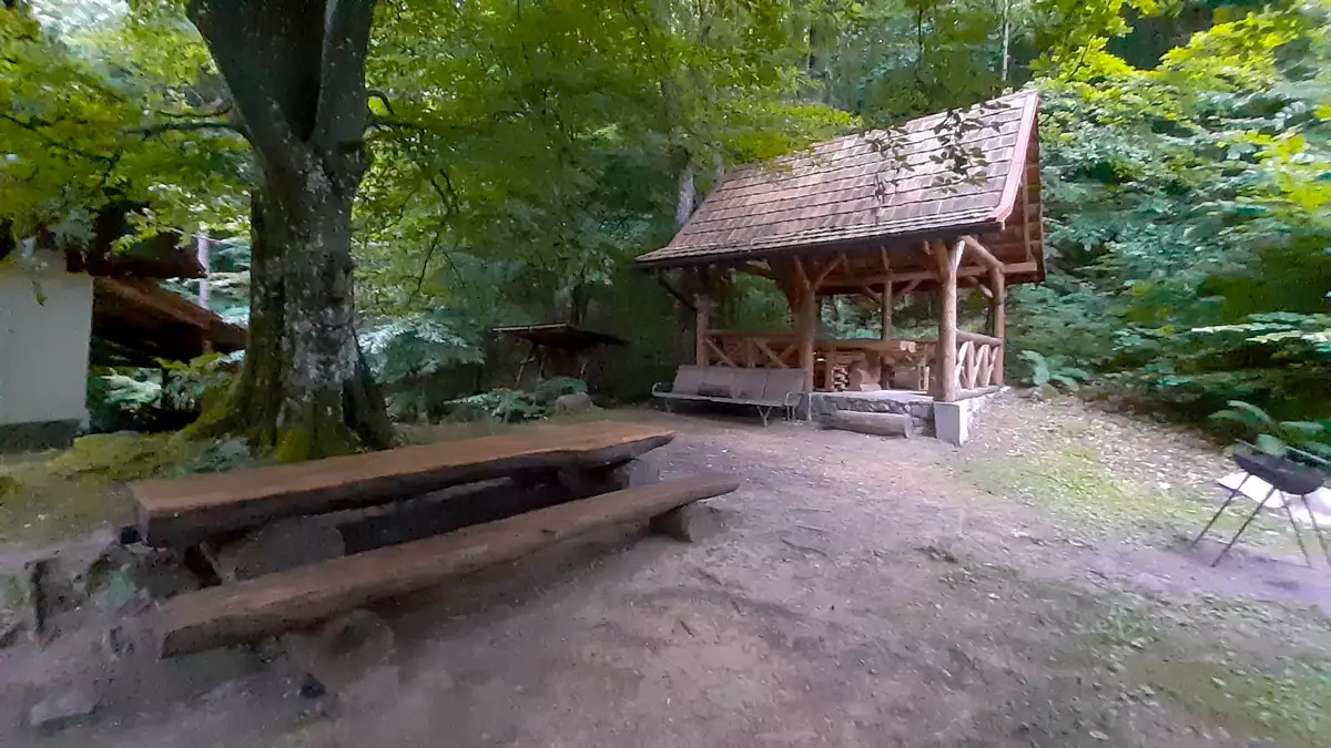 Усадьба «Источник под лесом»