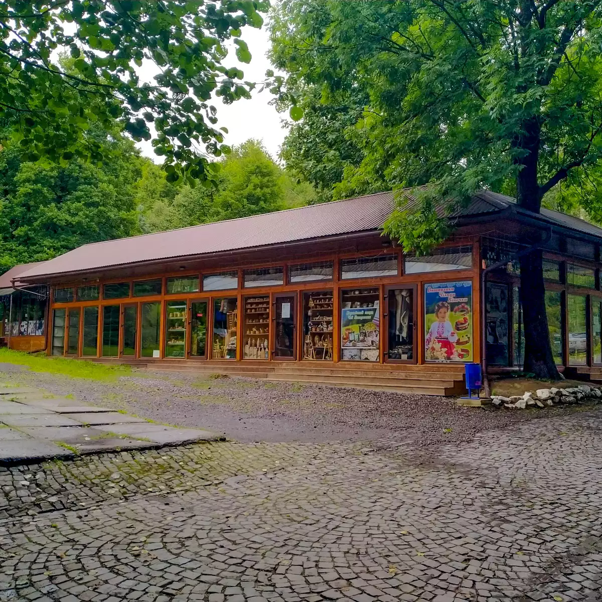 Санаторій «Синяк»