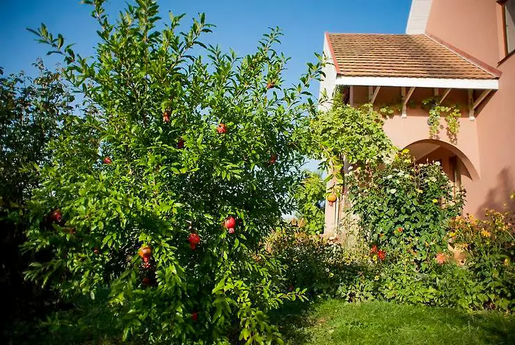 Гостевой дом «Polychko Winehouse»