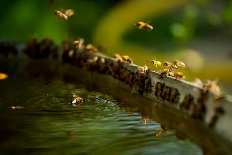 Гостевой дом «Polychko Winehouse»