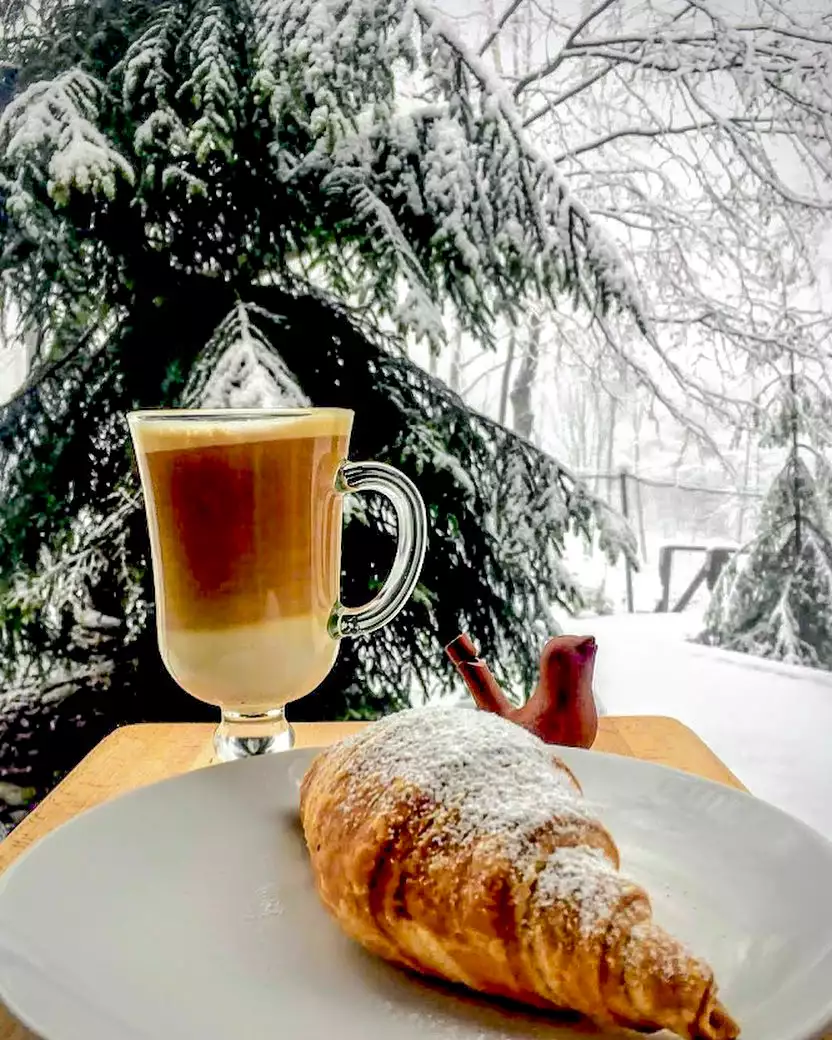 Отель «Поляна птиц»