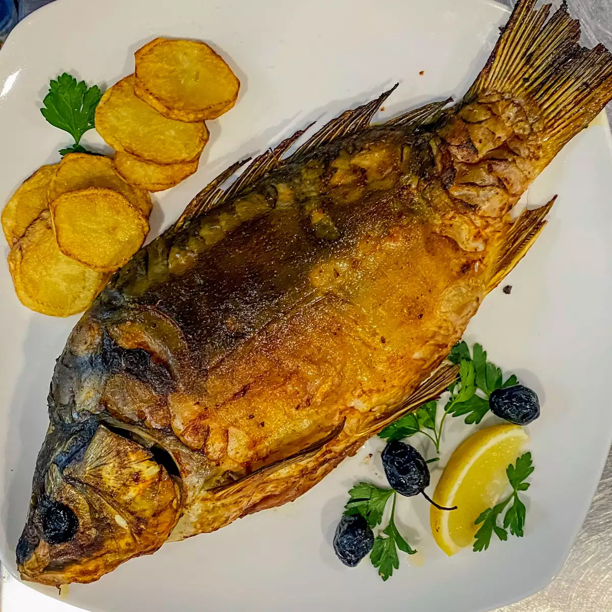 Отель «Поляна птиц»