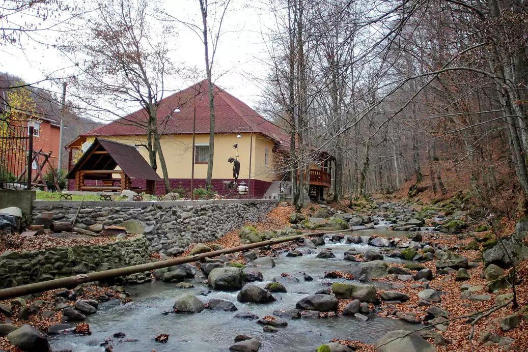 Kотедж «Лісовий будиночок»
