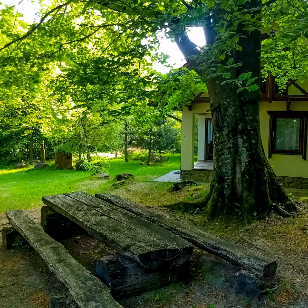 Усадьба «Источник под лесом»