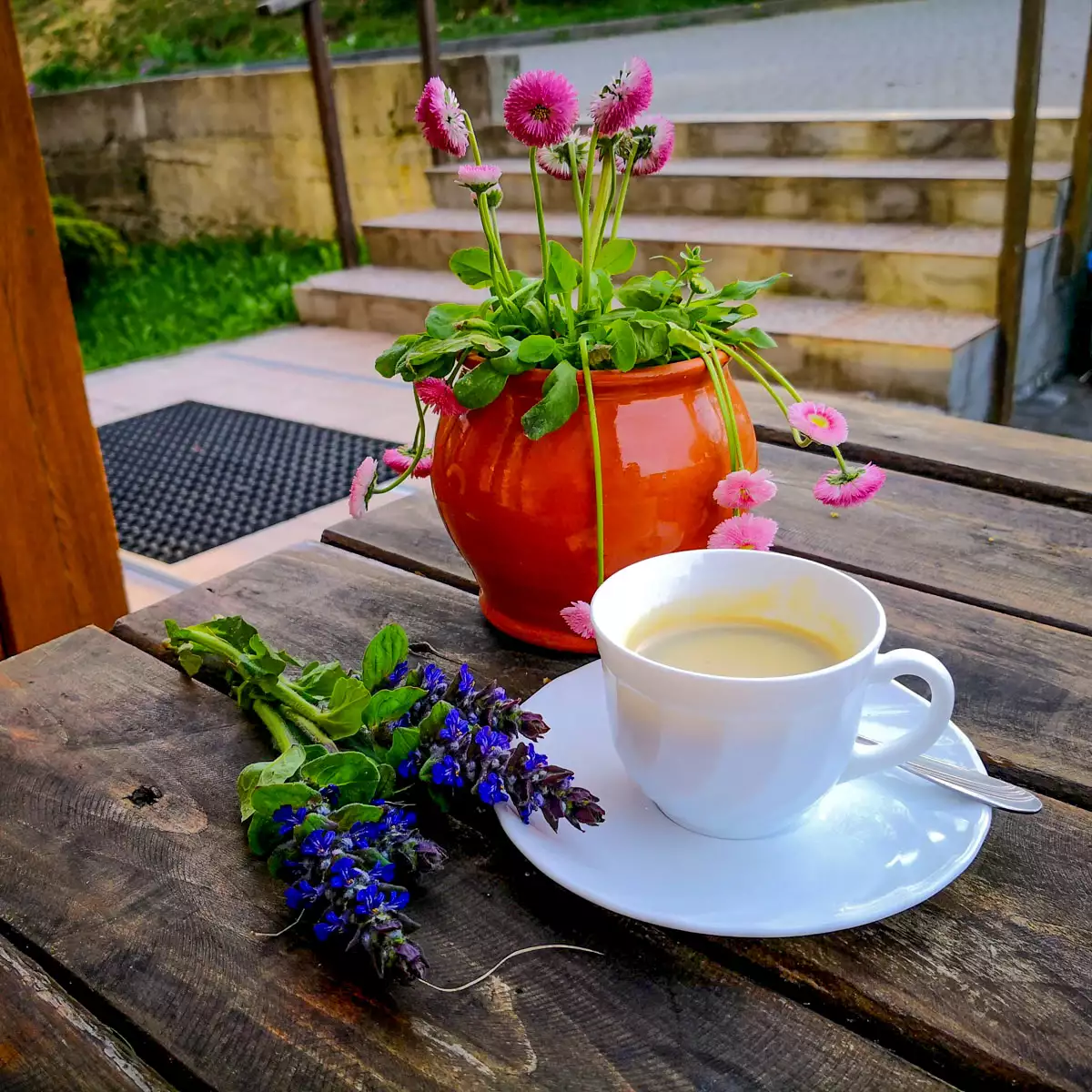 Готель «Швагри»