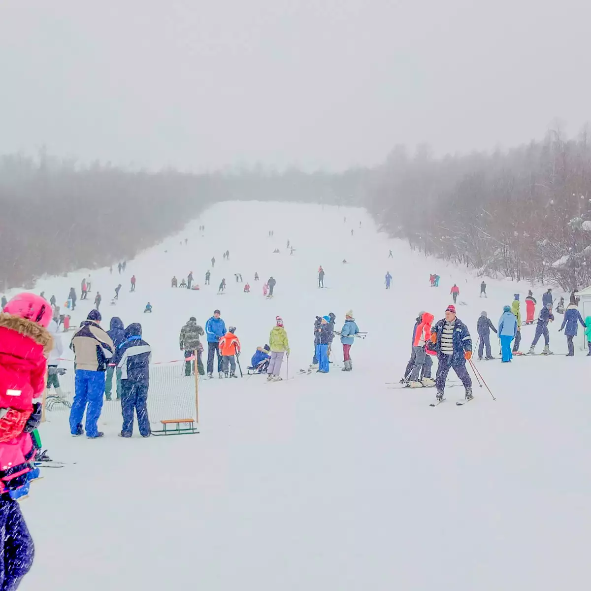 Kотедж «Синяк Vilux»