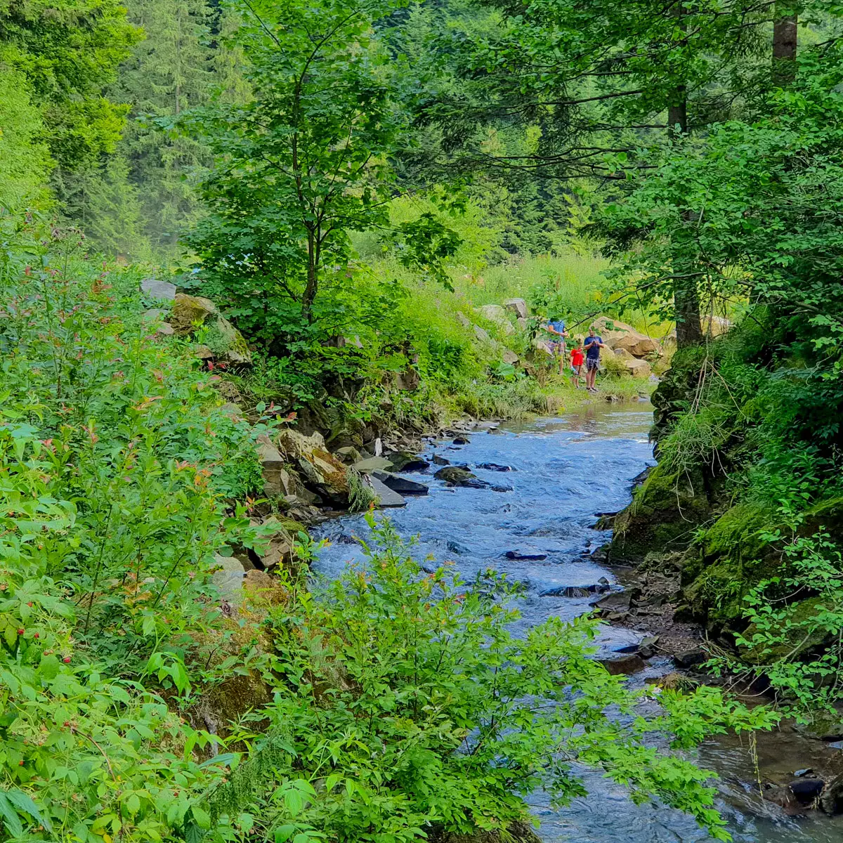 Водоспад Кам'янка