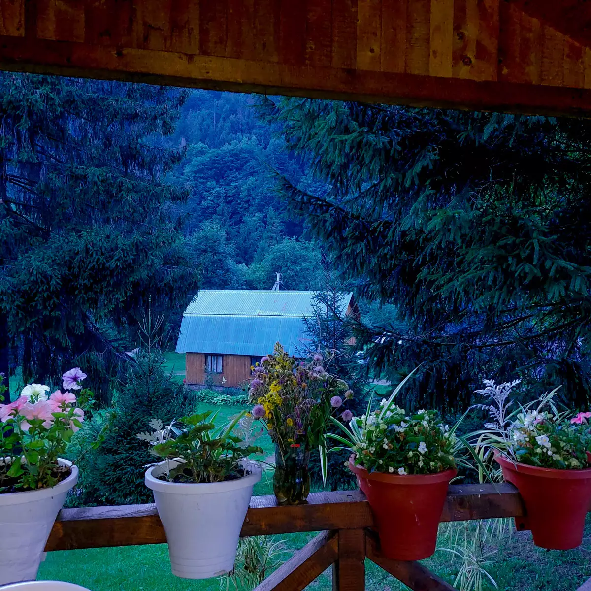 Туристическая база «Трембита»