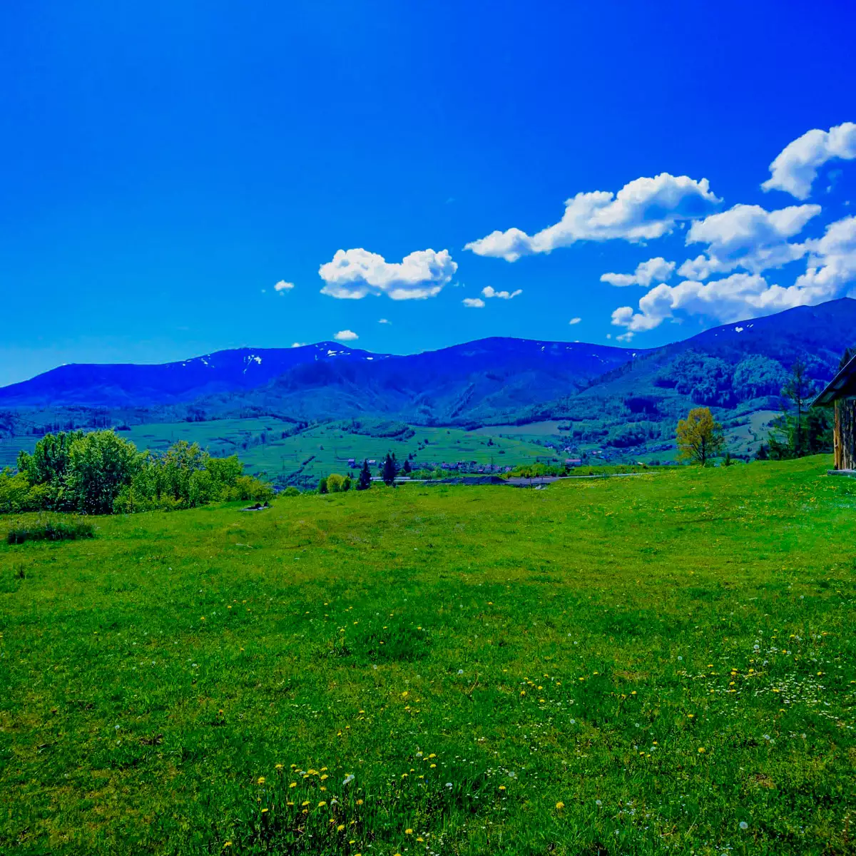 Отель «Роксолана»