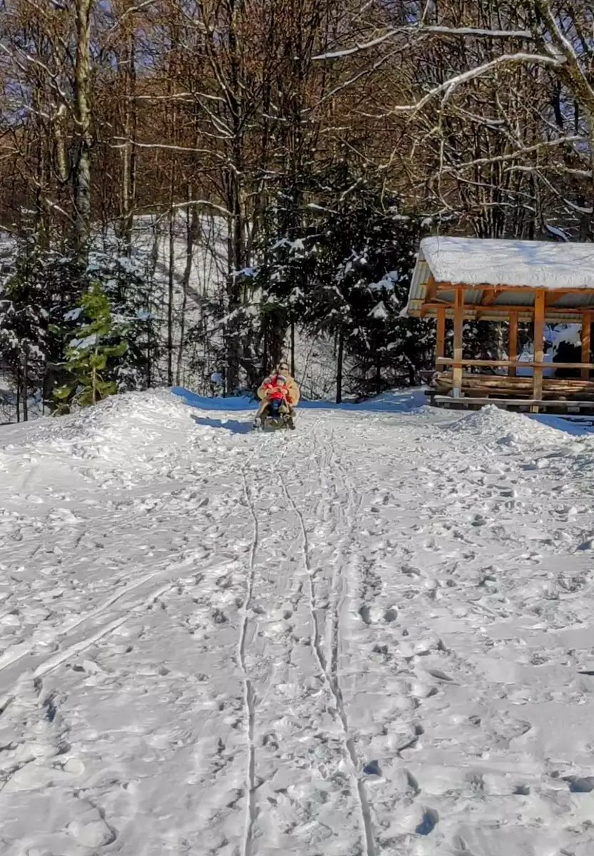 Усадьба «Лумшоры»