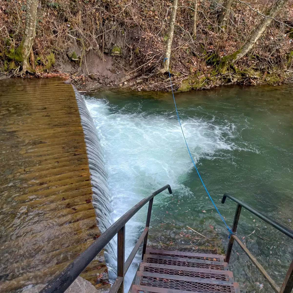 Усадьба «Лумшоры»