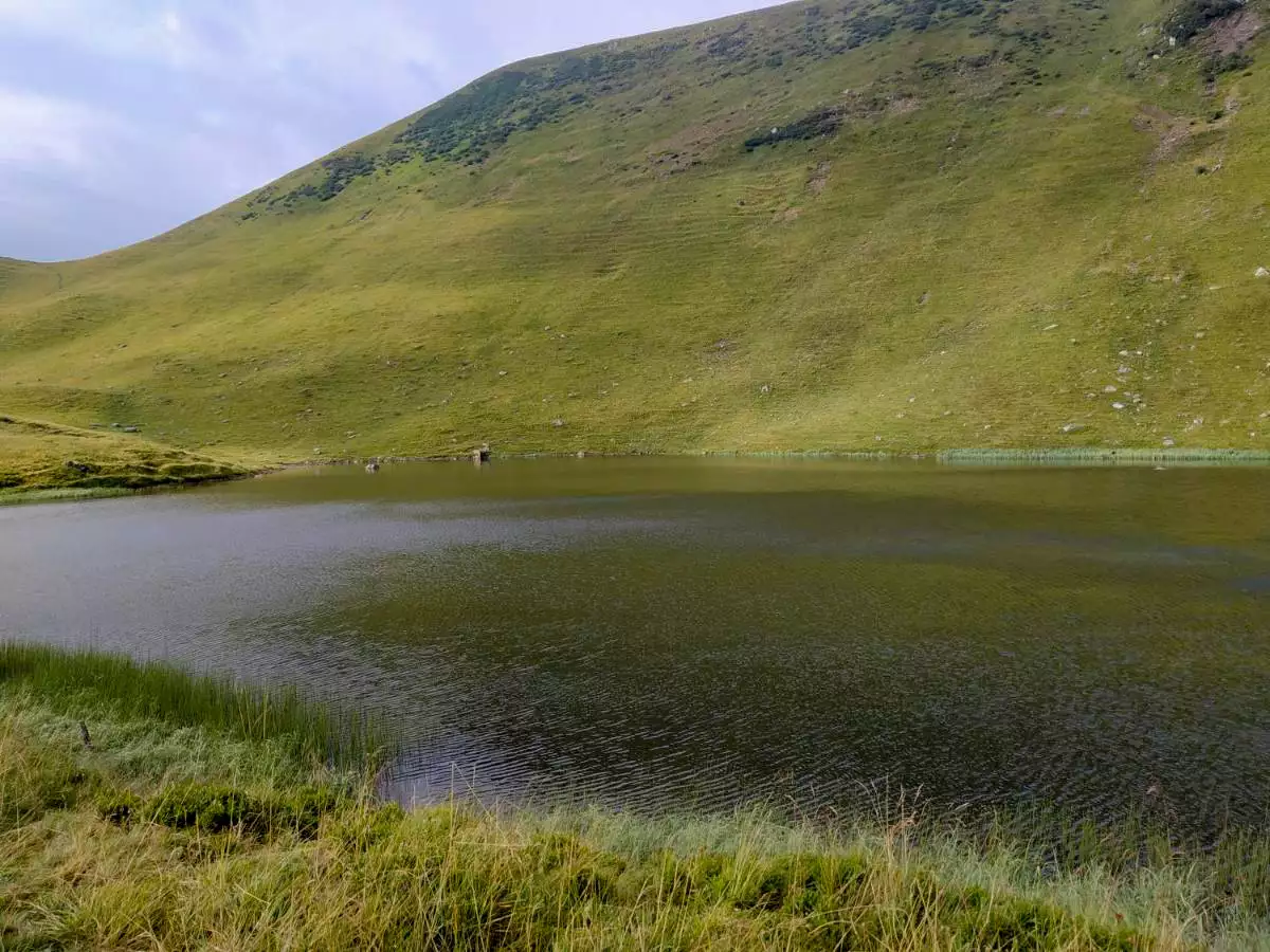 Готель «Оселя Драгобрат»