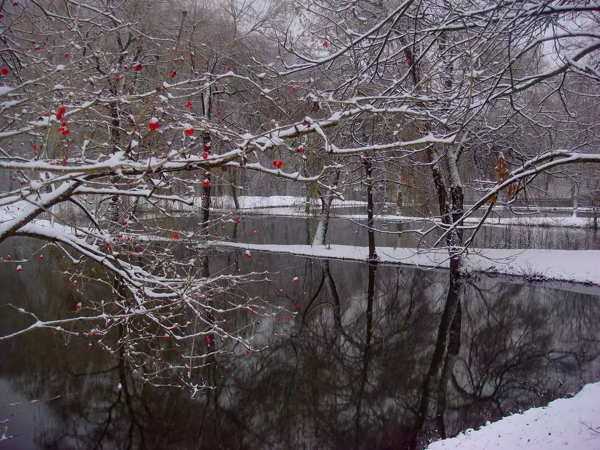 Готельний комплекс “Бабаєво”