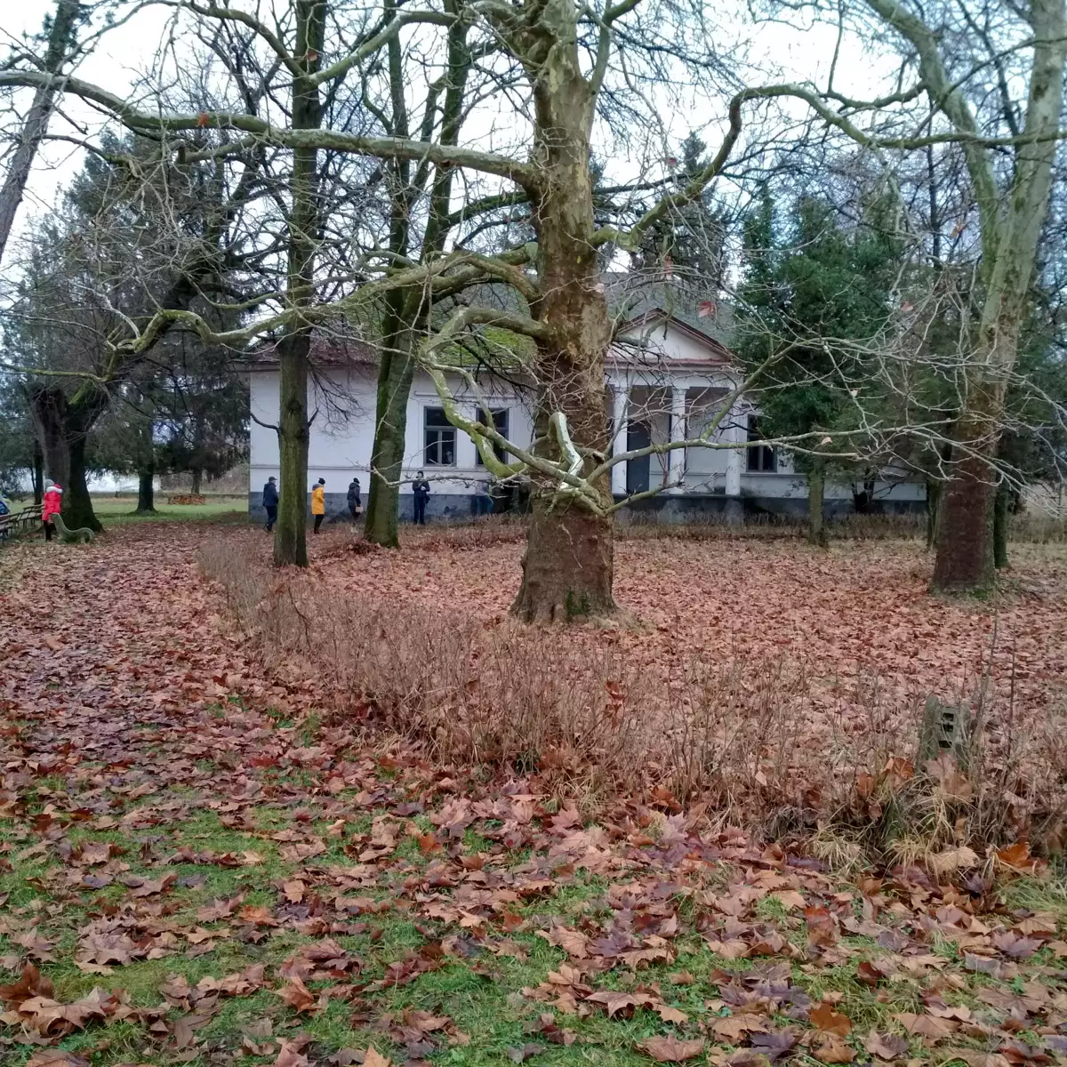 Затисянський краєзнавчий музей