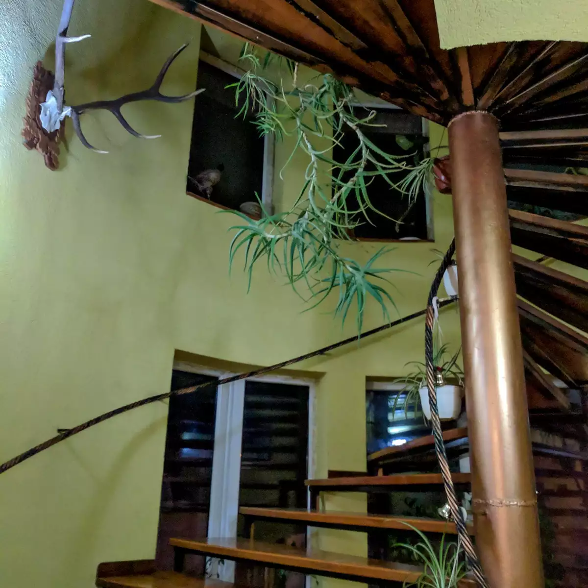 Gutshof “Rodán”