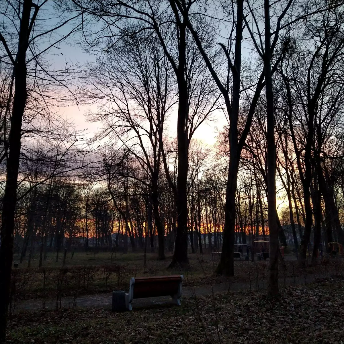 Палац-резиденція баронів Перені