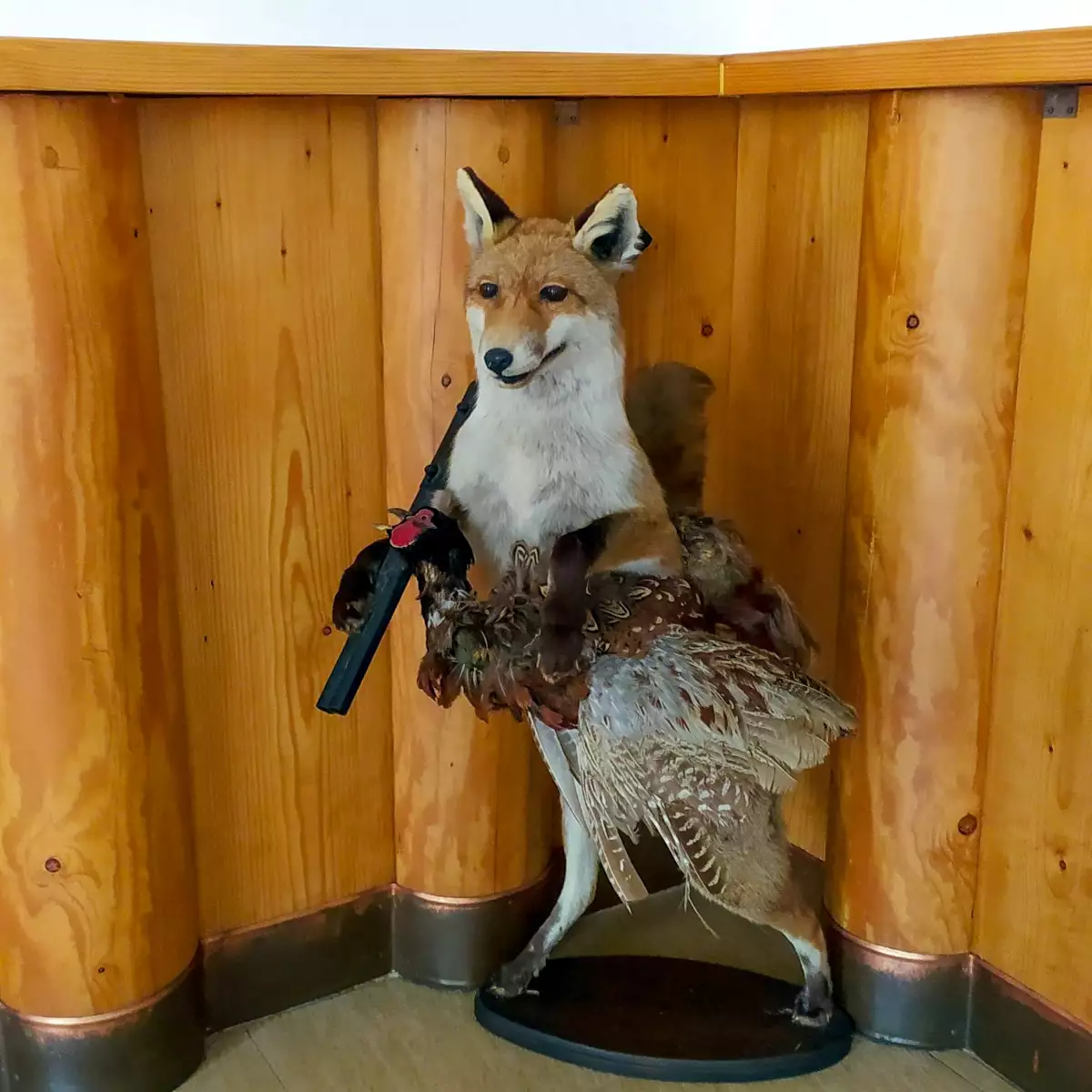 Мотель «Плай»