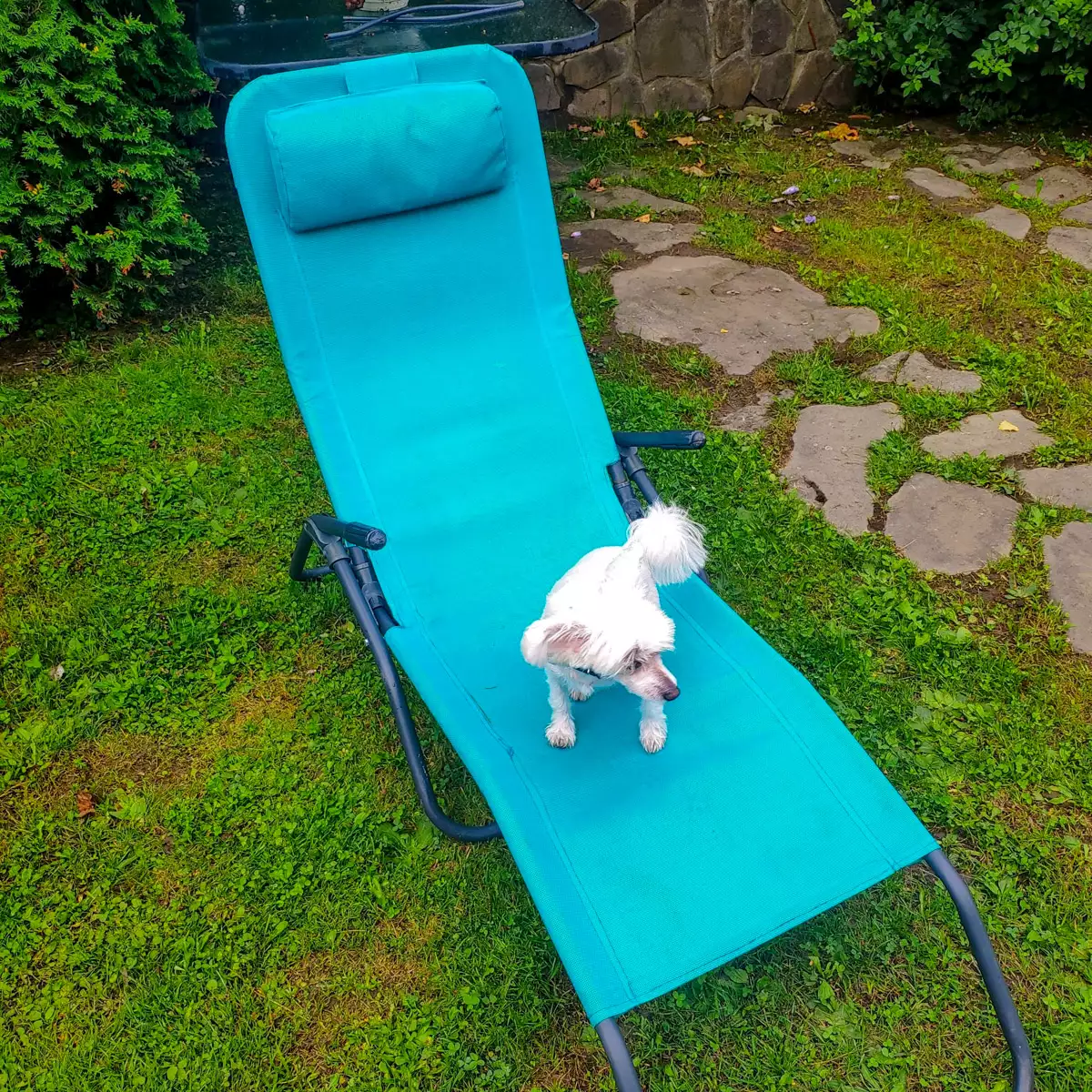 Готель «Верховинський двір»