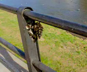 Міні-скульптура Виноградне гроно