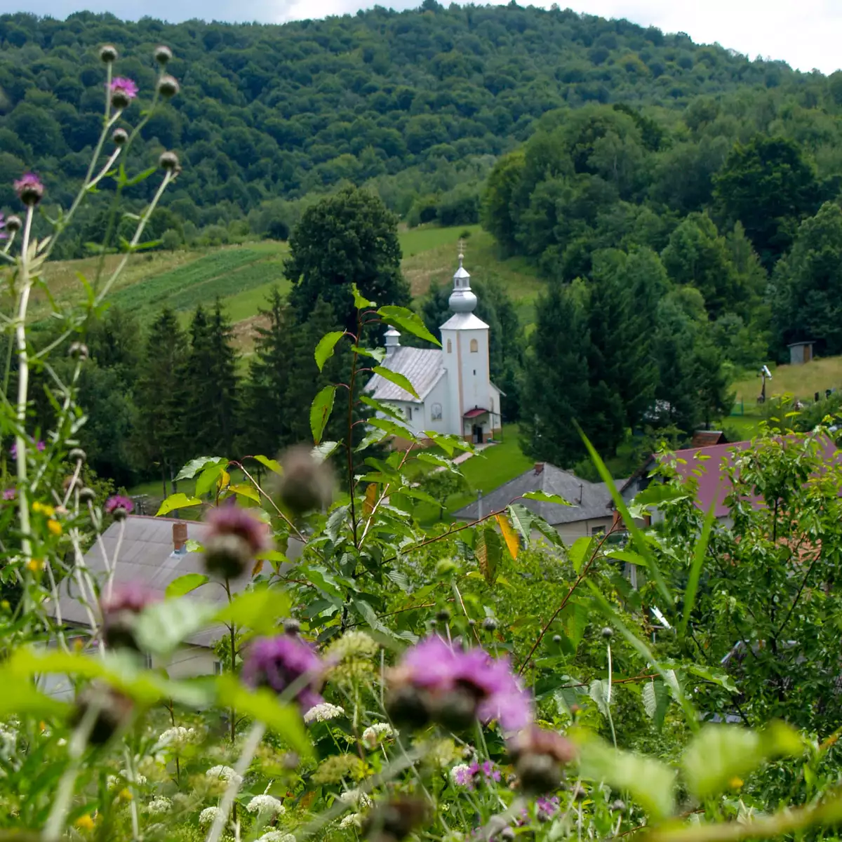 Частная усадьба “Эколодж”