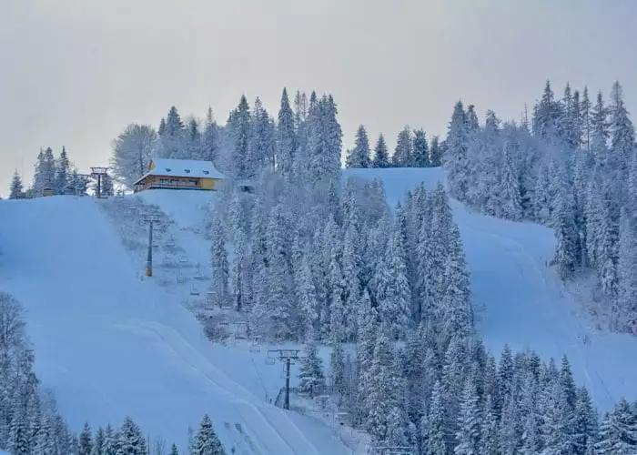 Ресторан-бістро «На схилі»